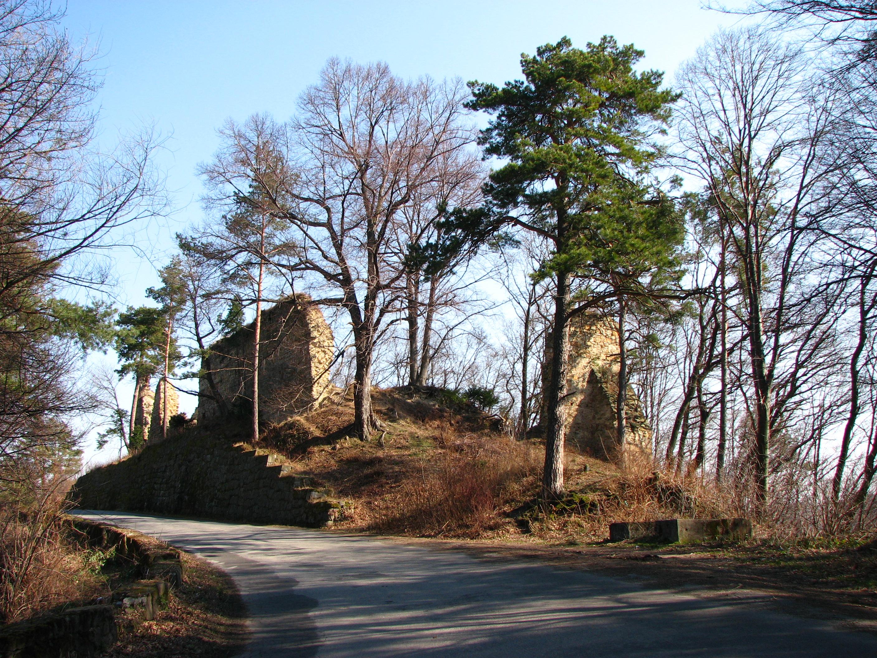 Zamek w Rożnowie